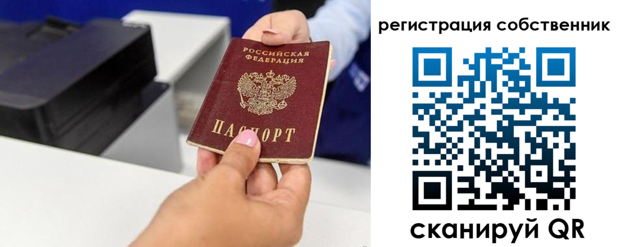 прописка для школы в Новодвинске